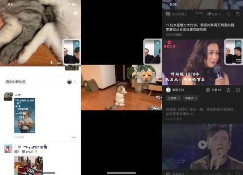 视频号热点爆料,最新热门事件深度解析